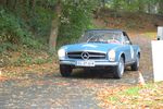 Bild 476
