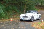 Bild 518