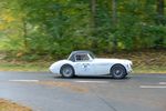 Bild 817