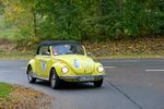 Bild 901